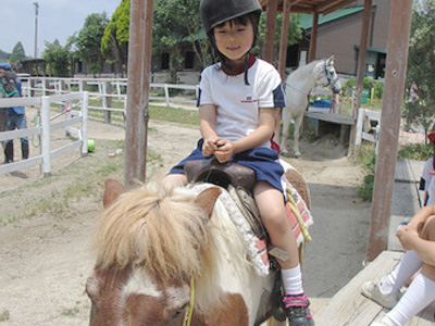 Aichi Farm