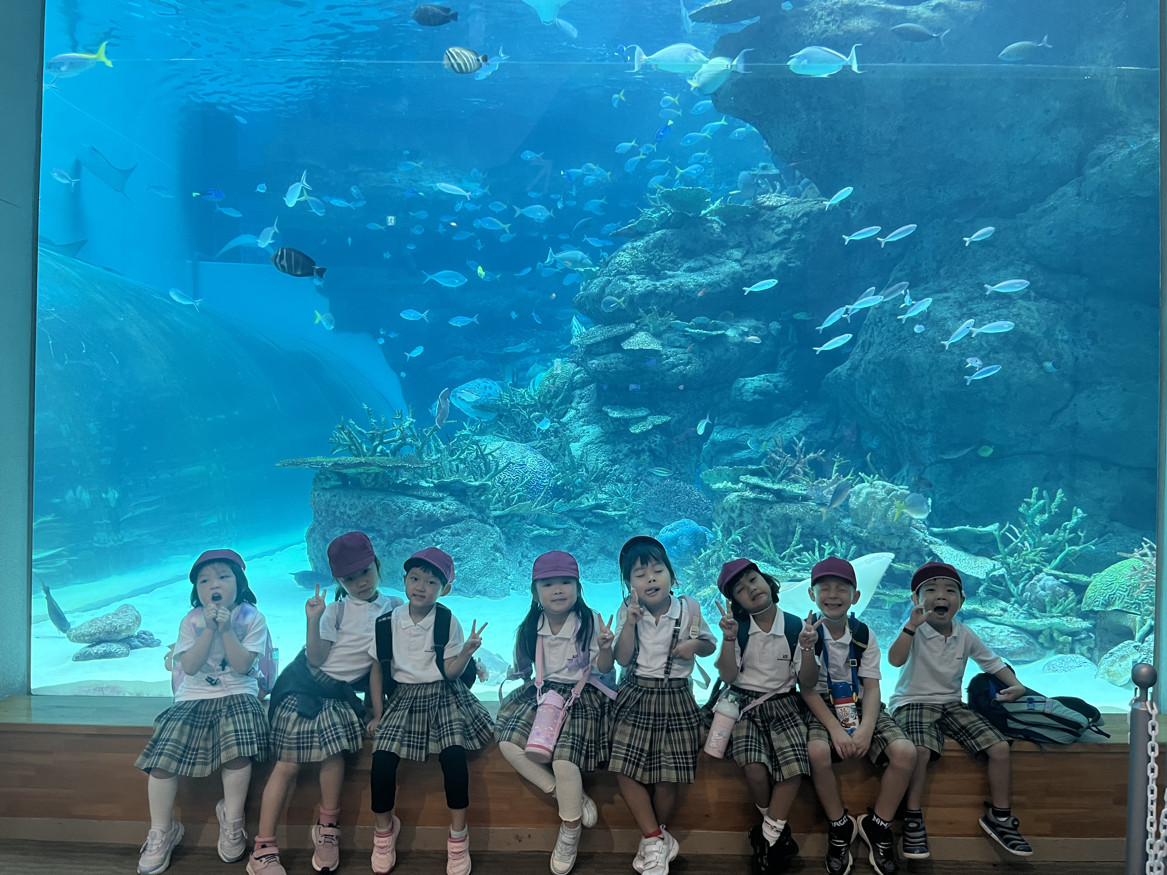 Kindy Field Trip 2024